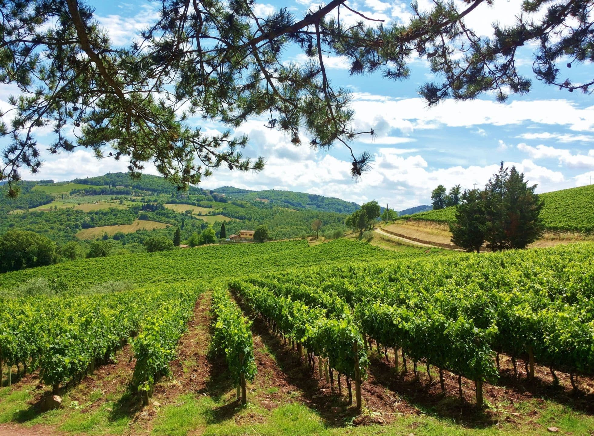 La riscoperta di un angolo di Paradiso: la tenuta Carobbio compie 10 anni