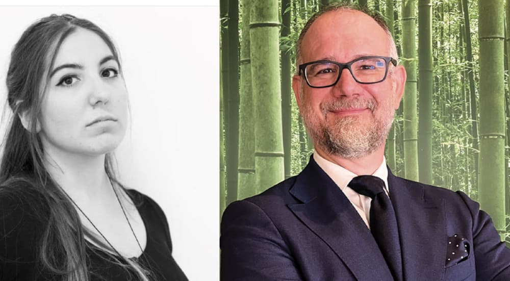 È il bambù la vera alternativa alla plastica. Lo studio che ha coinvolto l’Università La Sapienza di Roma