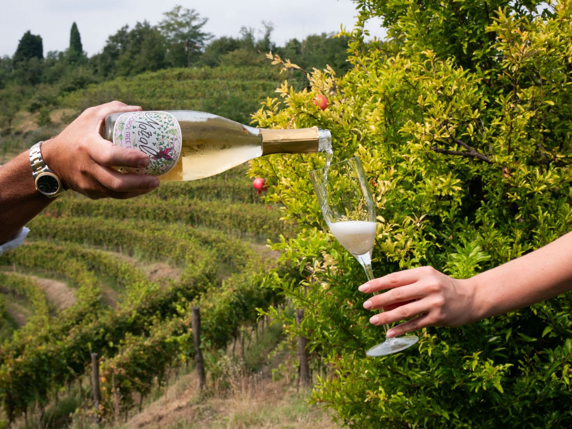 Mazzalùa arriverà in esclusiva in Italia grazie a Domori del Polo del Gusto