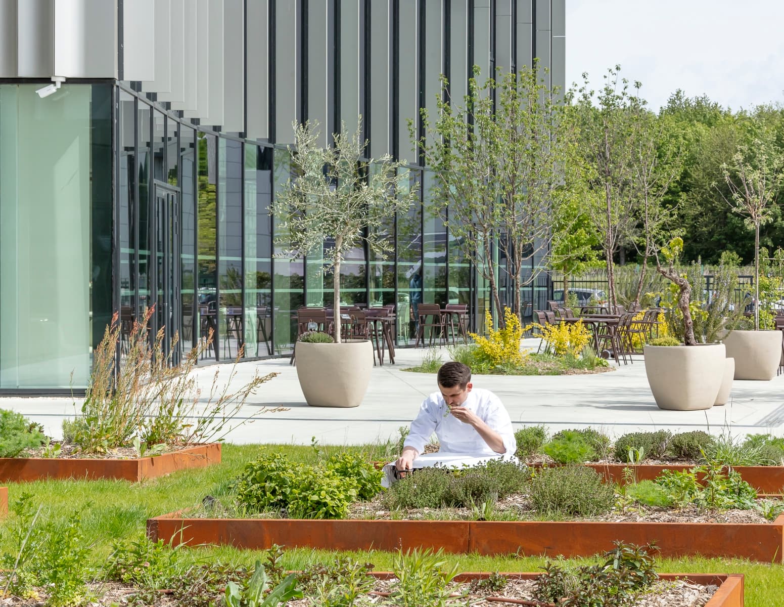 École Ducasse e Hectar insieme per promuovere un'alimentazione sostenibile