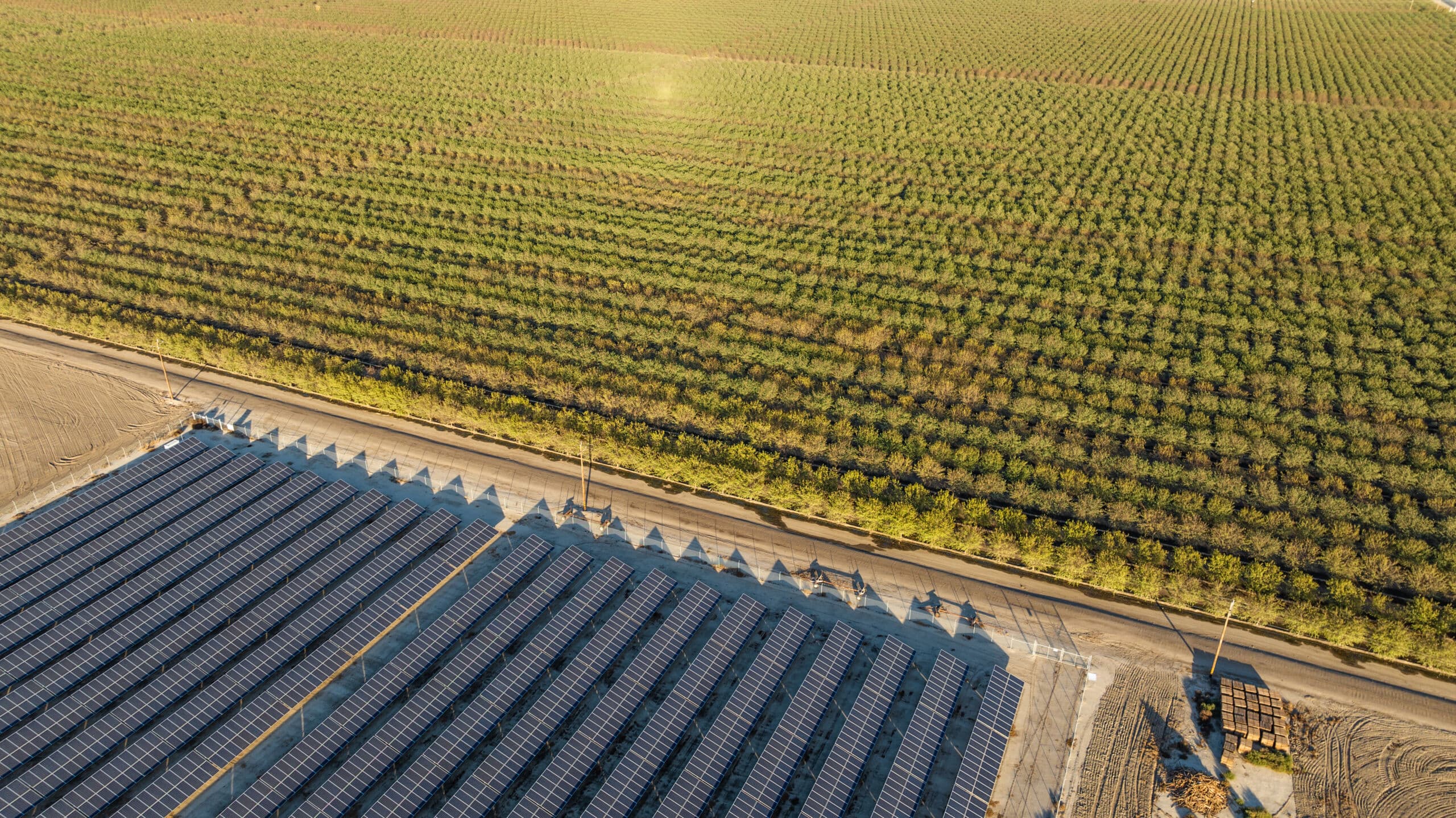 A Rovigo il primo grande impianto agrivoltaico avanzato in Italia
