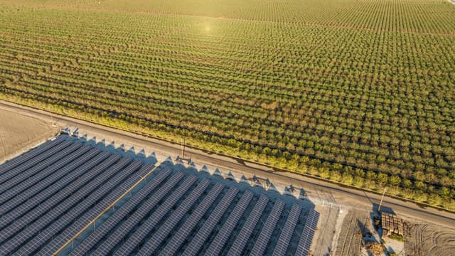 A Rovigo il primo grande impianto agrivoltaico avanzato in Italia