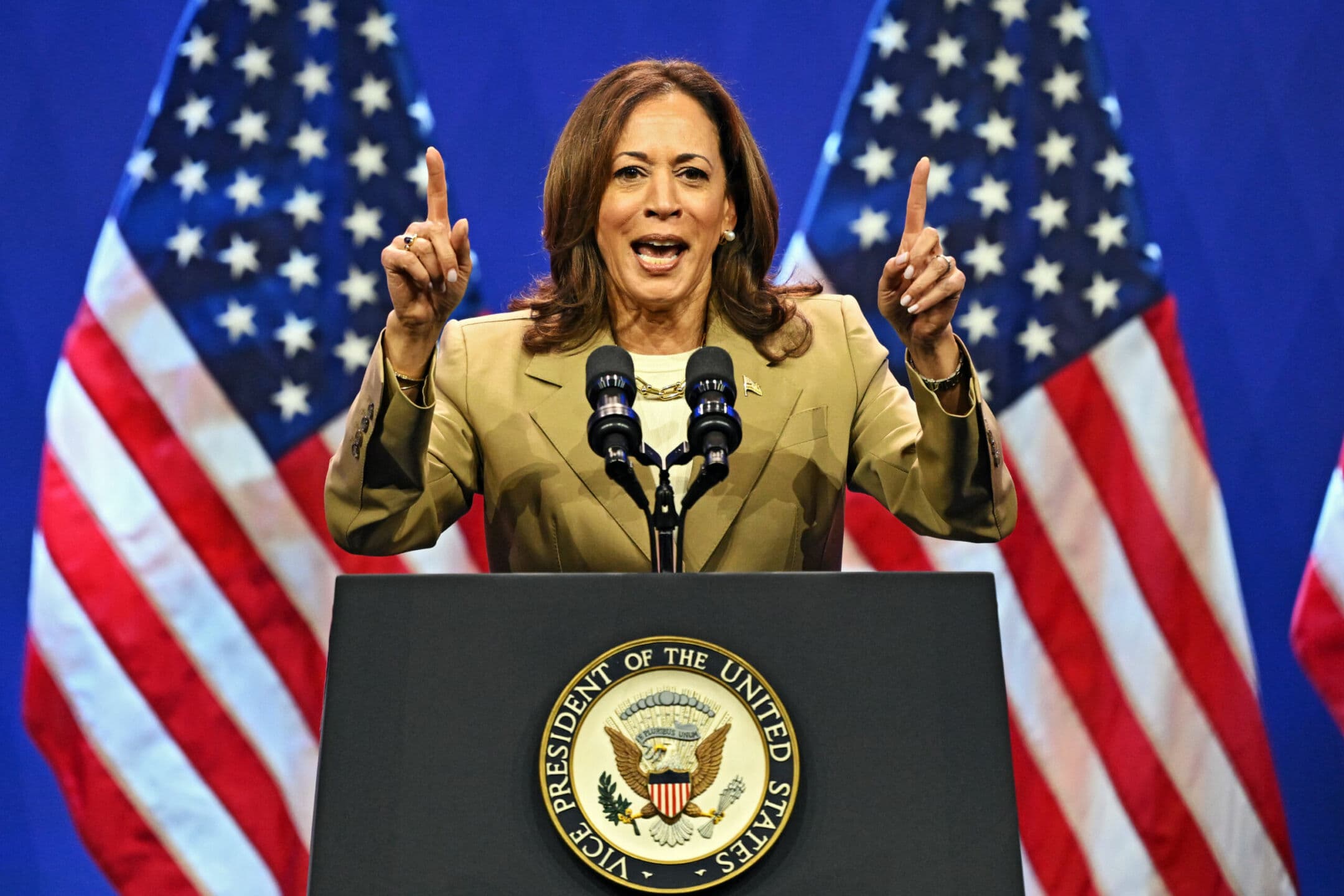 Kamala Harris, tutto quello che c'è da sapere sulla possibile candidata contro Trump