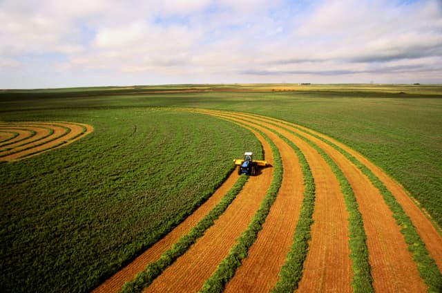 Agroalimentare settore strategico per l'Italia: è la prima filiera per contributo al Pil
