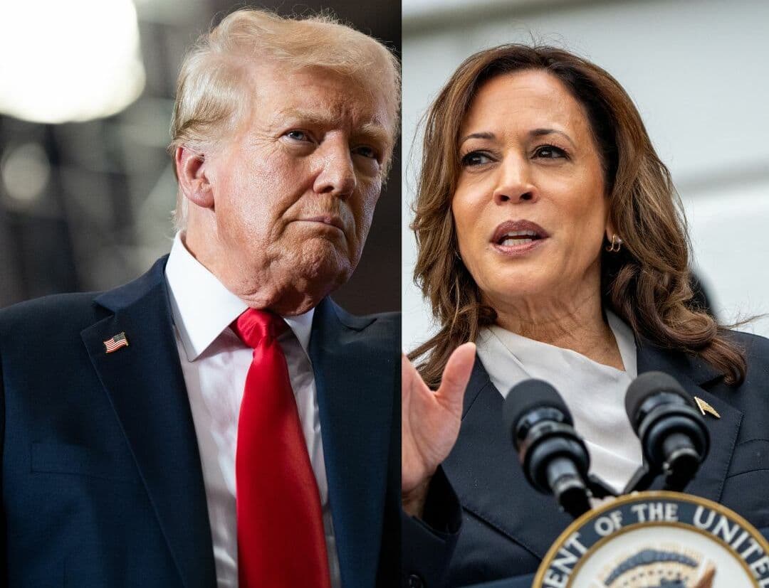 Trump vs. Harris: quale campagna elettorale ha raccolto più soldi