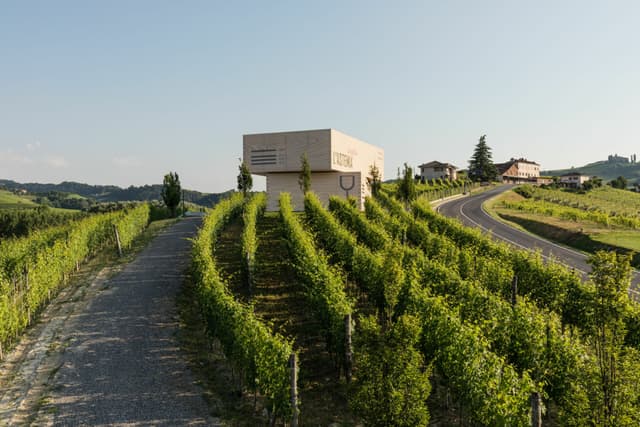 Il Barolo non è mai stato così moderno: l'evoluzione della cantina L'Astemia