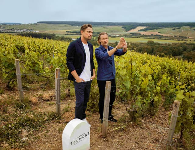 Dallo champagne agli spirits: queste quattro superstar hanno scelto di dedicarsi anche al buon bere