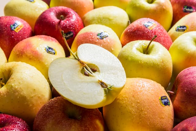 Come il Trentino-Alto Adige è diventato un polo mondiale delle mele