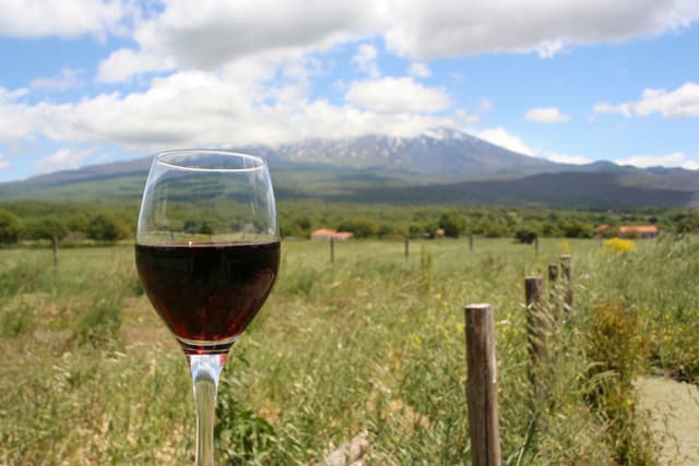 Etna, il vino del vulcano tra successo internazionale e ricerca di identità
