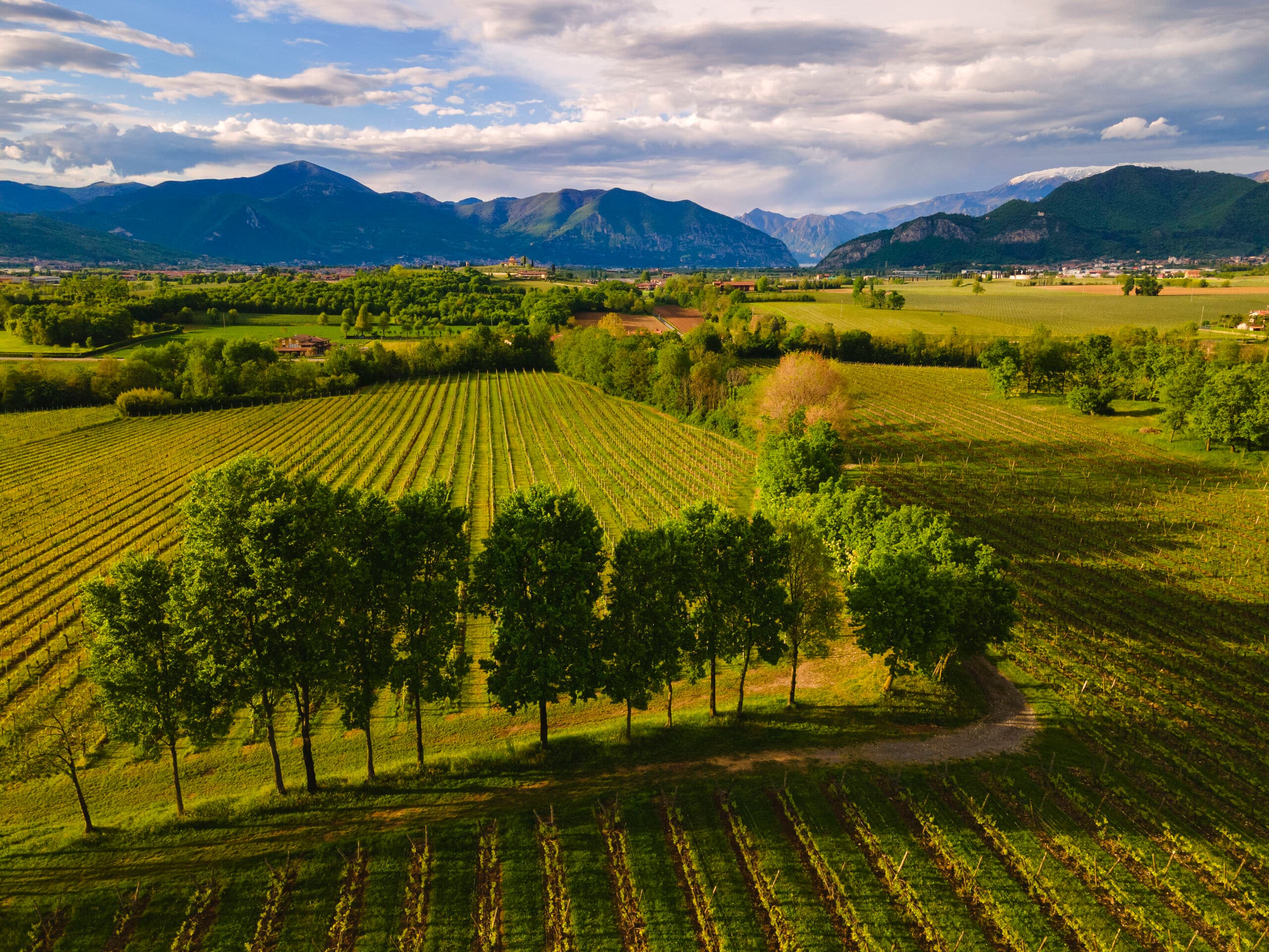 Serì, il nuovo corso di Bersi Serlini in Franciacorta