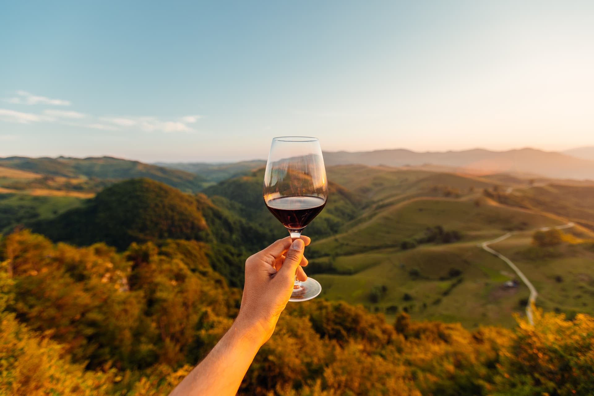 Il nuovo lusso del vino italiano: perché il valore non nasce più solo dalla bottiglia