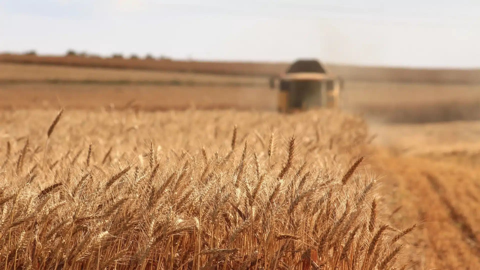 72 miliardi di export e 89 miliardi di valore: così l’agroalimentare italiano rafforza il suo primato in Europa