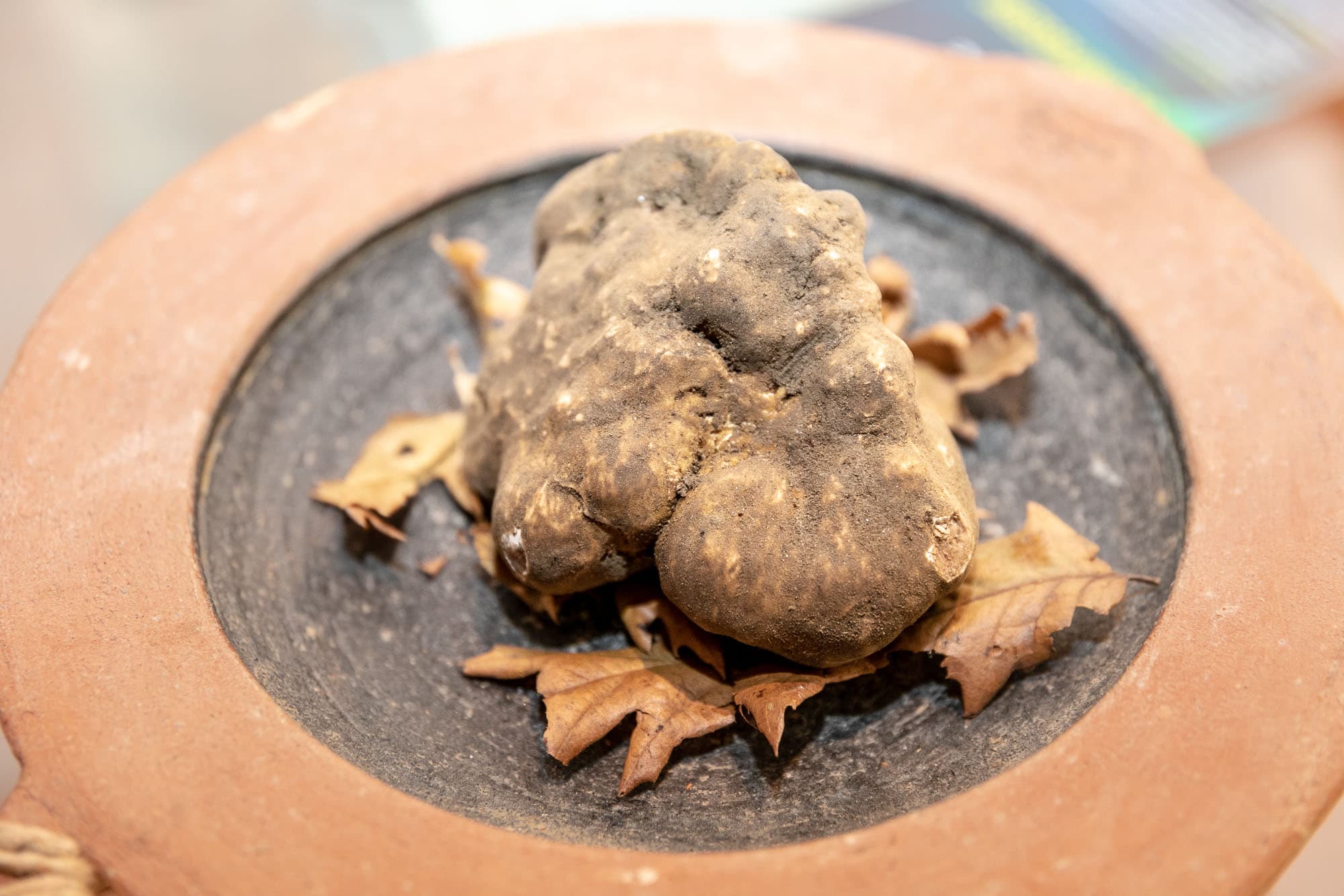 Un Diamante da 2mila euro al chilo