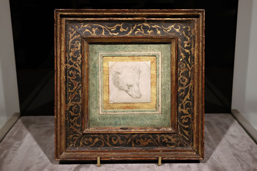 Leonardo milionario: asta record da Christie's per il disegno della "Testa di orso"