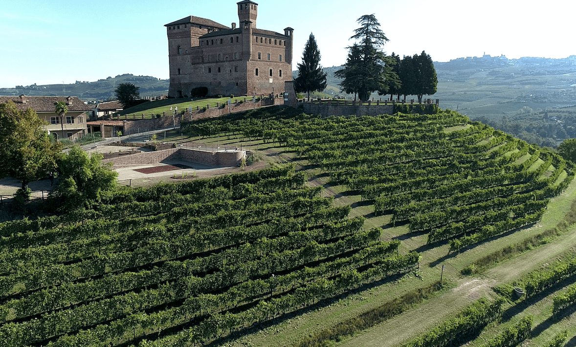 Barolo solidale: all'asta 15 barrique da collezione per sostenere progetti no profit