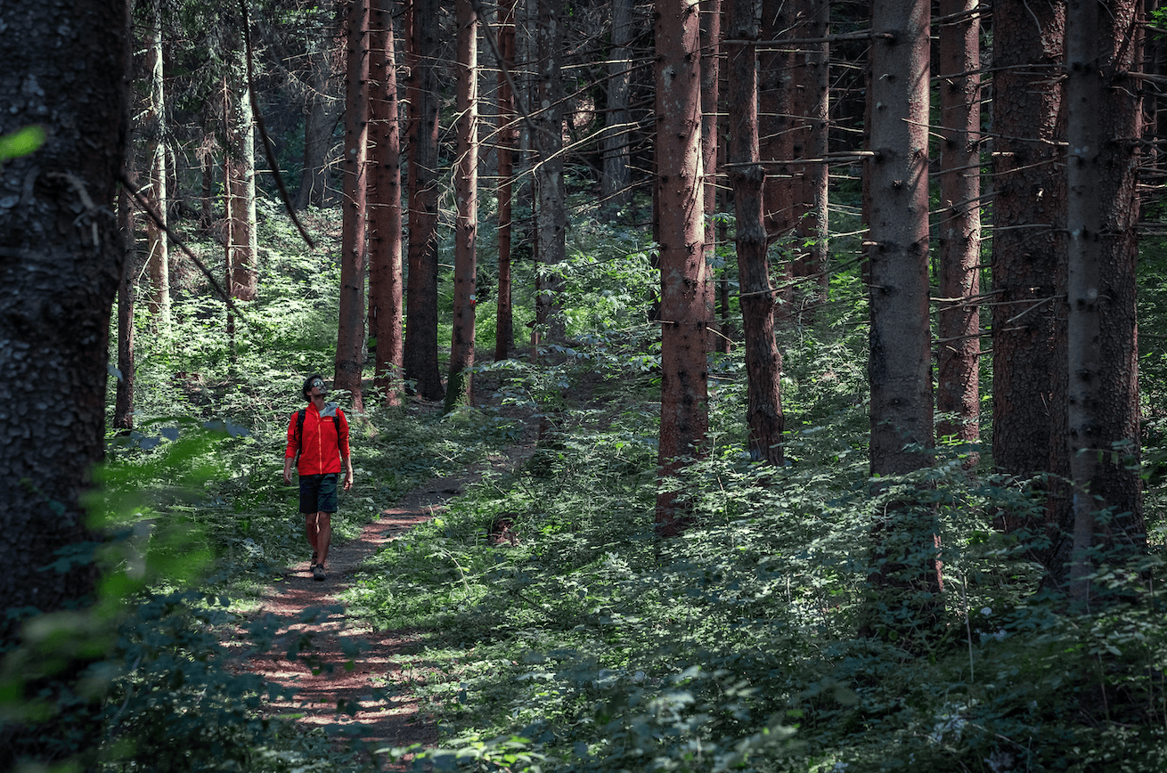 Dal forest bathing nelle Dolomiti alla maratona di New York: 5 travel experience da provare in autunno