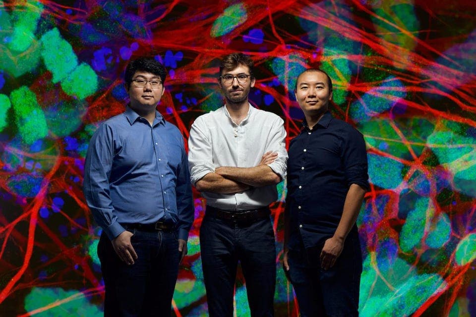 Elon, fatti da parte: questo under 30 ha raccolto 8 milioni di dollari per impiantare chip nel cervello