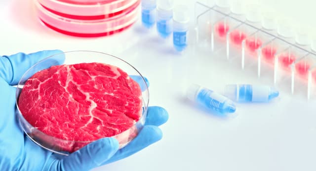 Il "no" del governo italiano alla produzione di carne coltivata: un vantaggio o una minaccia per il made in Italy?