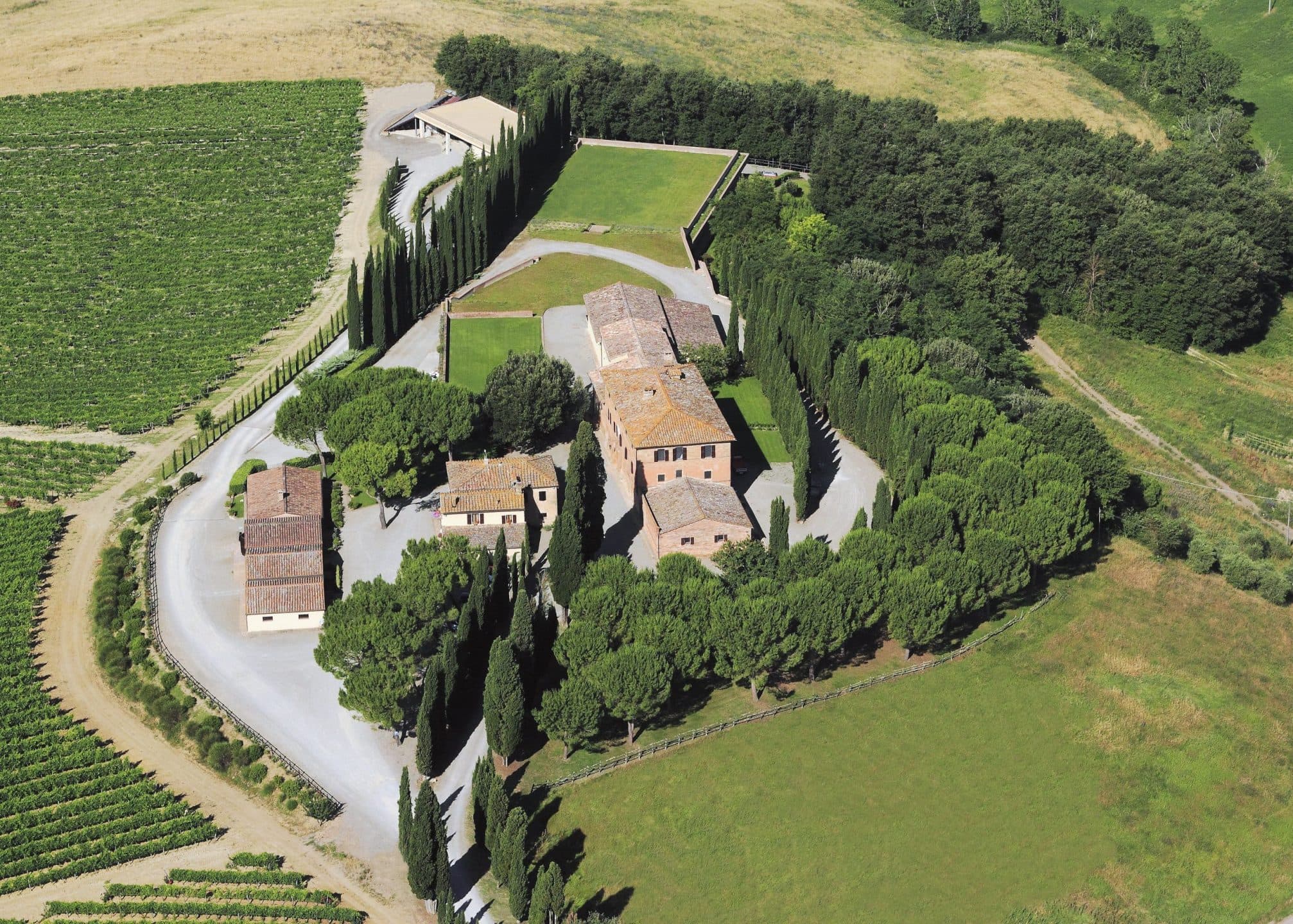 Qualità, innovazione e sostenibilità: i segreti del successo del vino Altesino