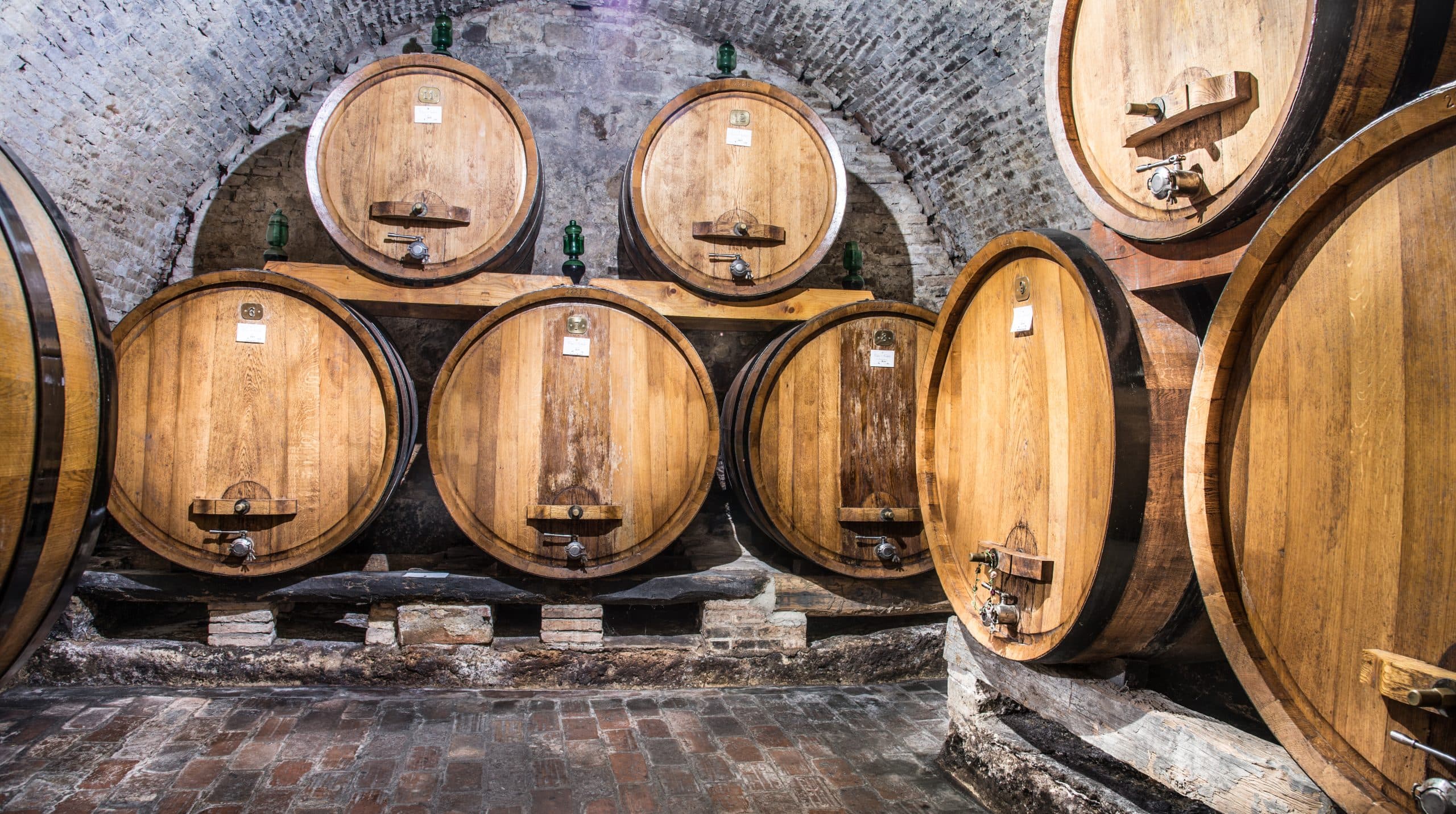 Tutti gli step e percorsi formativi per diventare esperti del mondo vino