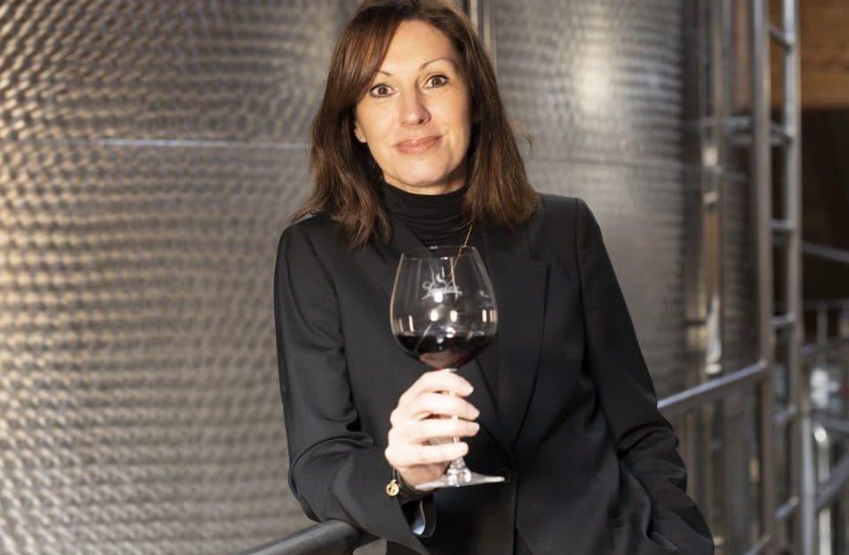 Una cantina al Bacio: il 2022 di Schenk Italian Wineries tra passione e sostenibilità