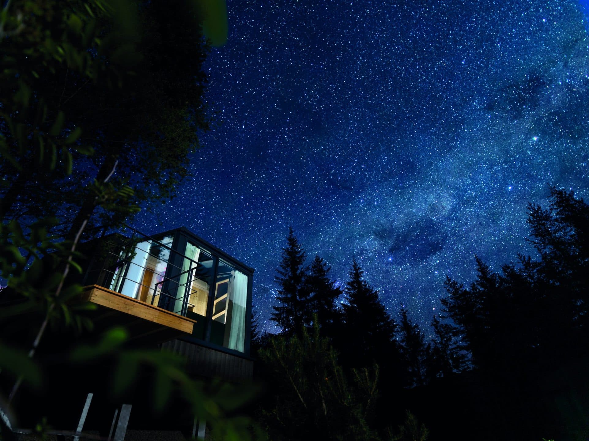 Dormire su un albero, prenotare un volo privato e ordinare una Rolls Royce. Investire su se stessi è il vero lusso