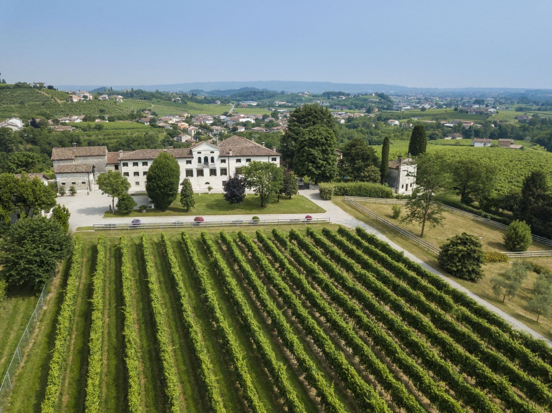 10 realtà italiane che hanno fatto diventare il vino un business di successo