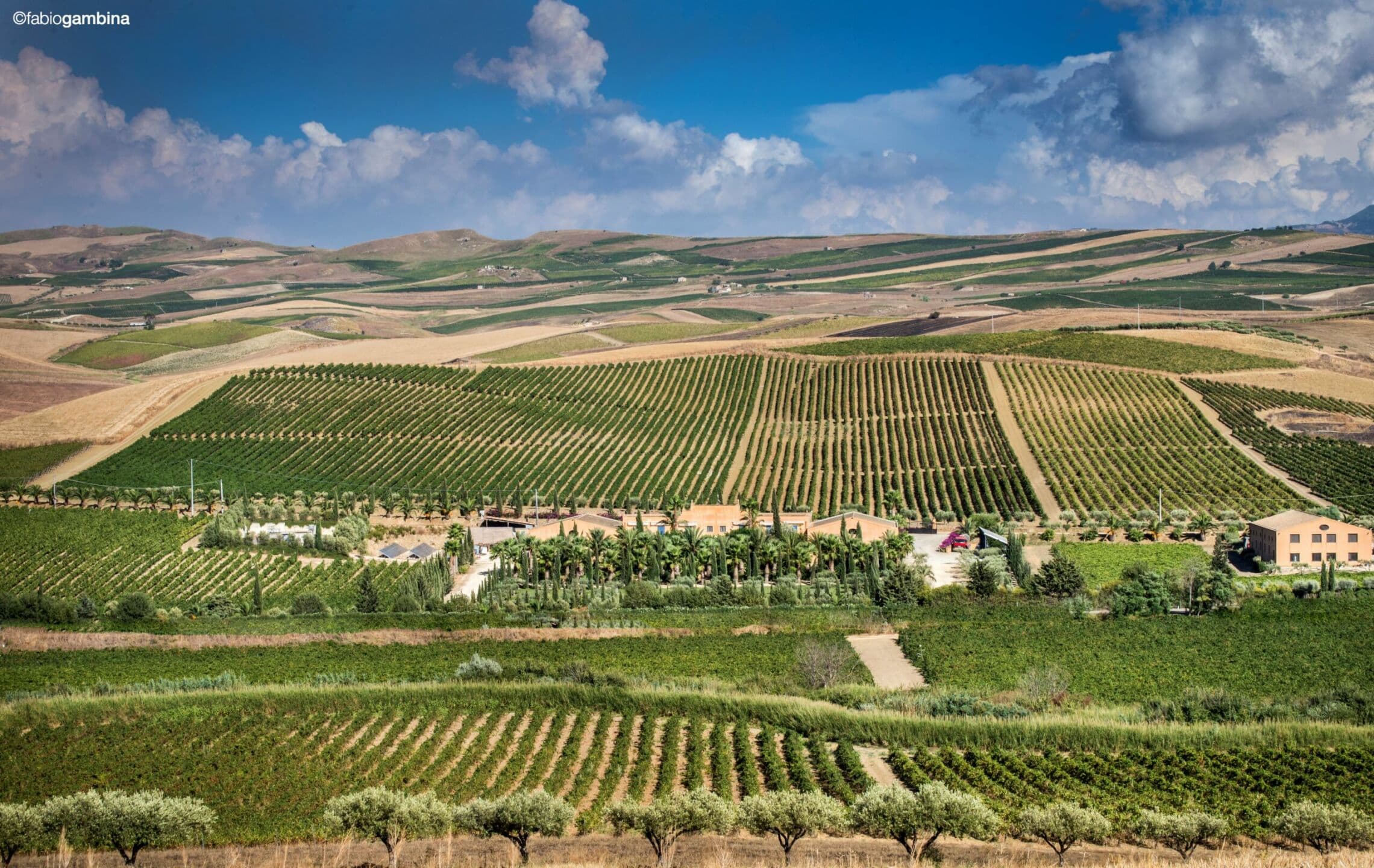 Esperienze enogastronomiche e accoglienza: le nuove frontiere del turismo di campagna in Italia