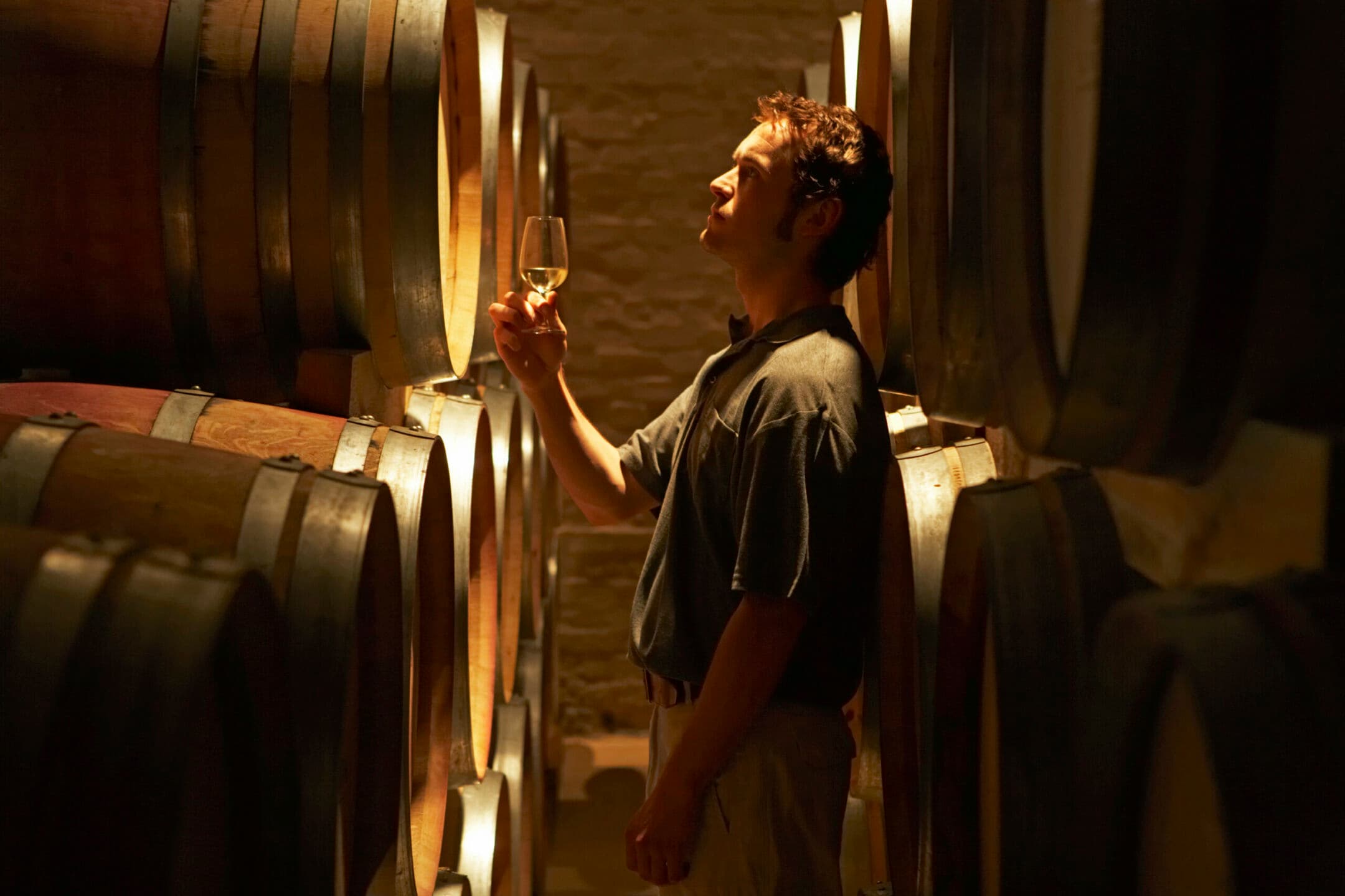 Quanto costa davvero fare vino oggi? Sfide e strategie per i nuovi produttori nel mercato globale