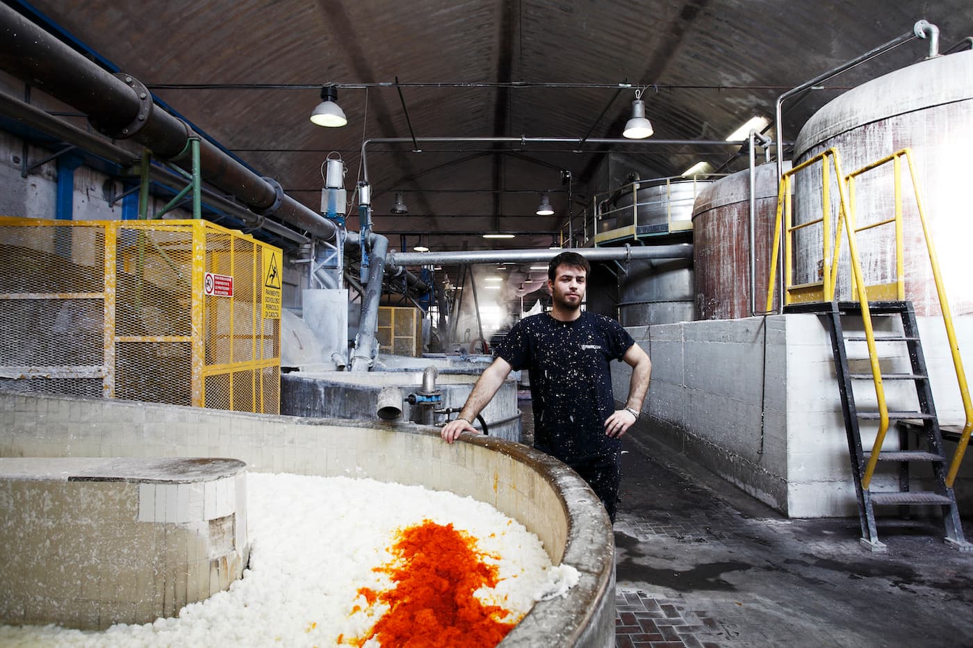 Dentro il distretto veneto della carta, dove si stampano le opere di Papa Leone, Obama e Dan Brown