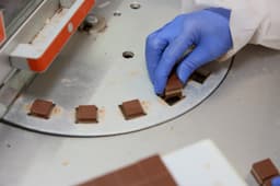 Viaggio nel cuore dolce del Piemonte: dove si producono 85mila tonnellate di cioccolato ogni anno