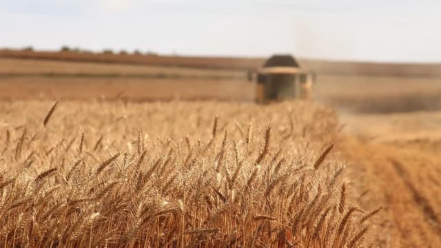 72 miliardi di export e 89 miliardi di valore: così l’agroalimentare italiano rafforza il suo primato in Europa