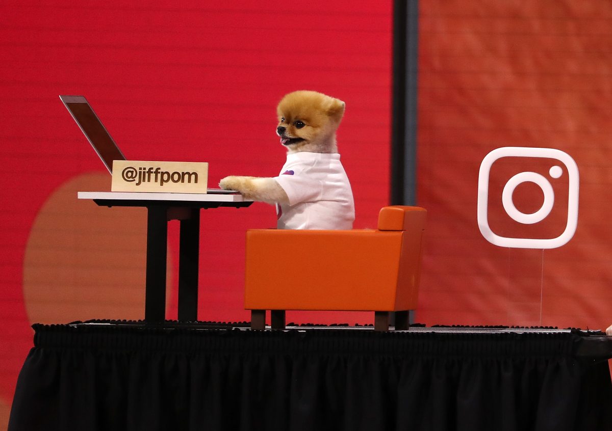 La star di Instagram JiffPom