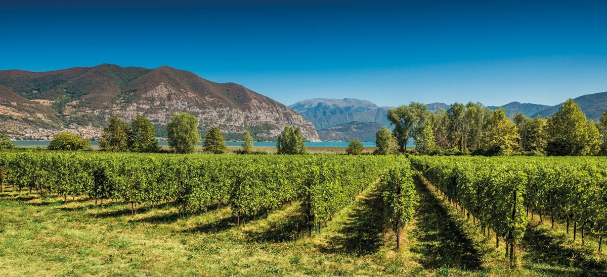 Bollicine da far invidia allo Champagne