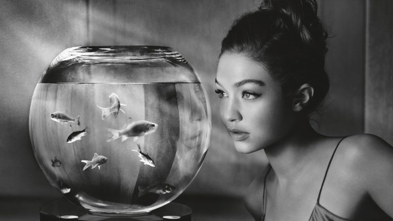 gigi hadid guarda acquario