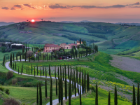 cielo verde alberi tramonto