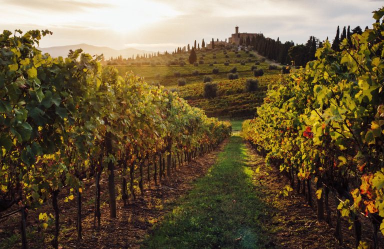 Vini italiani: i vigneti in Toscana