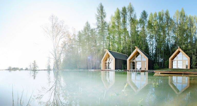 bosco legno cielo