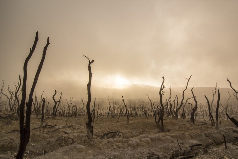 Cambiamenti climatici