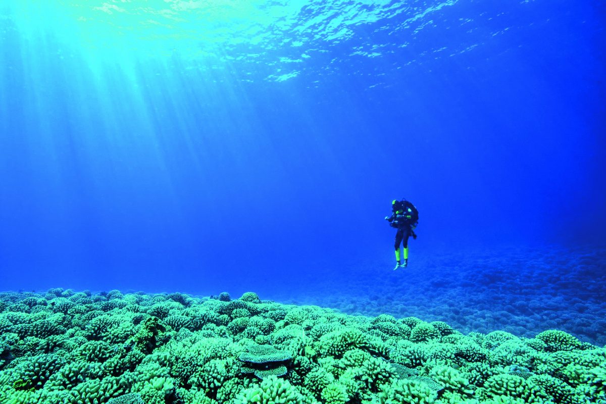 L’impegno di Rolex per la salvaguardia degli oceani