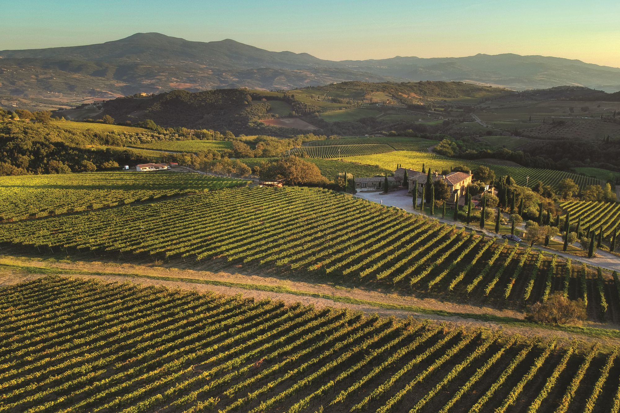 Migliori vini italiani: San Polo tra le 100 Eccellenze Italiane di Forbes