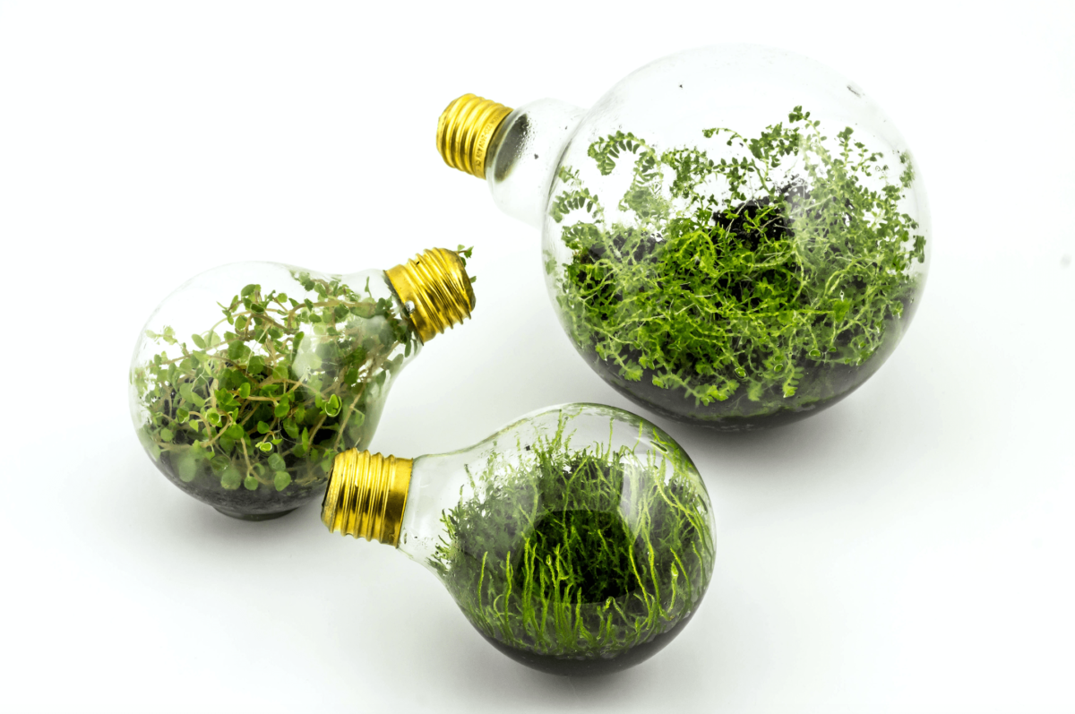 empower the future, energia
