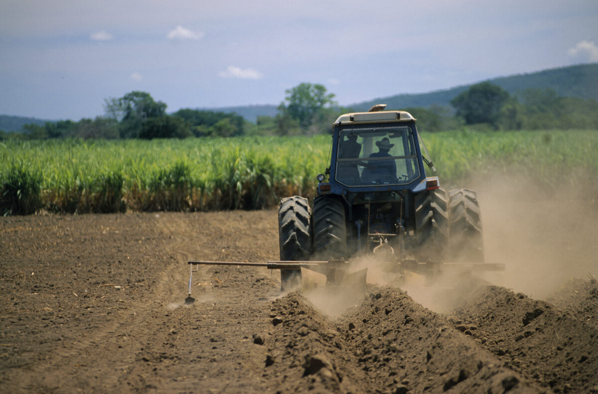 Il clima impazzito colpisce l’agricoltura. Coldiretti: “In Italia 14 miliardi di danni nell’ultimo decennio”
