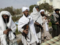 militanti talebani