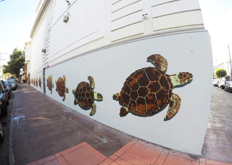 Sea turtle wall
