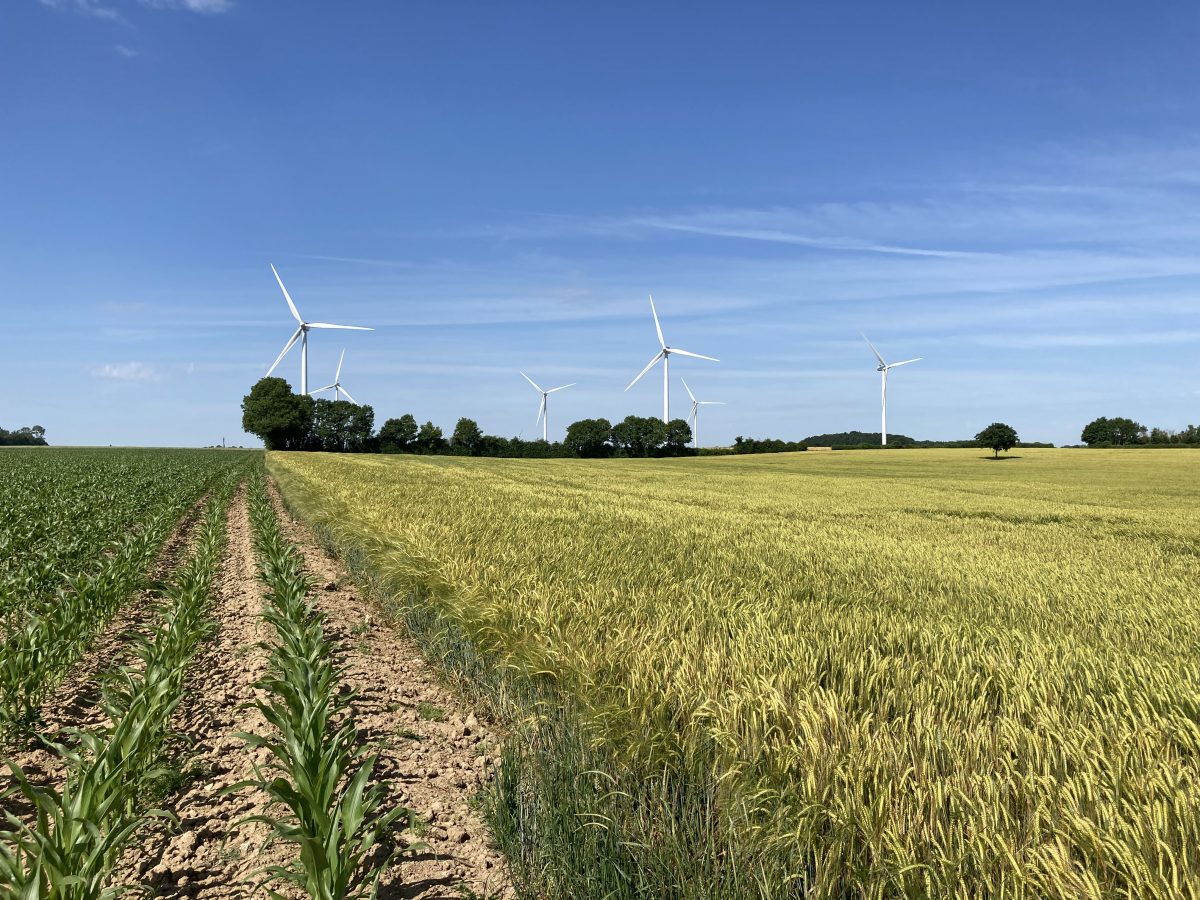 Falck Renewables