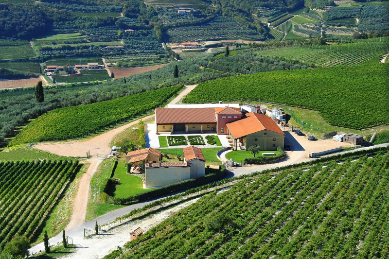 Tenuta-SantAntonio