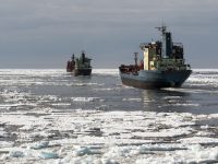 navi Artico