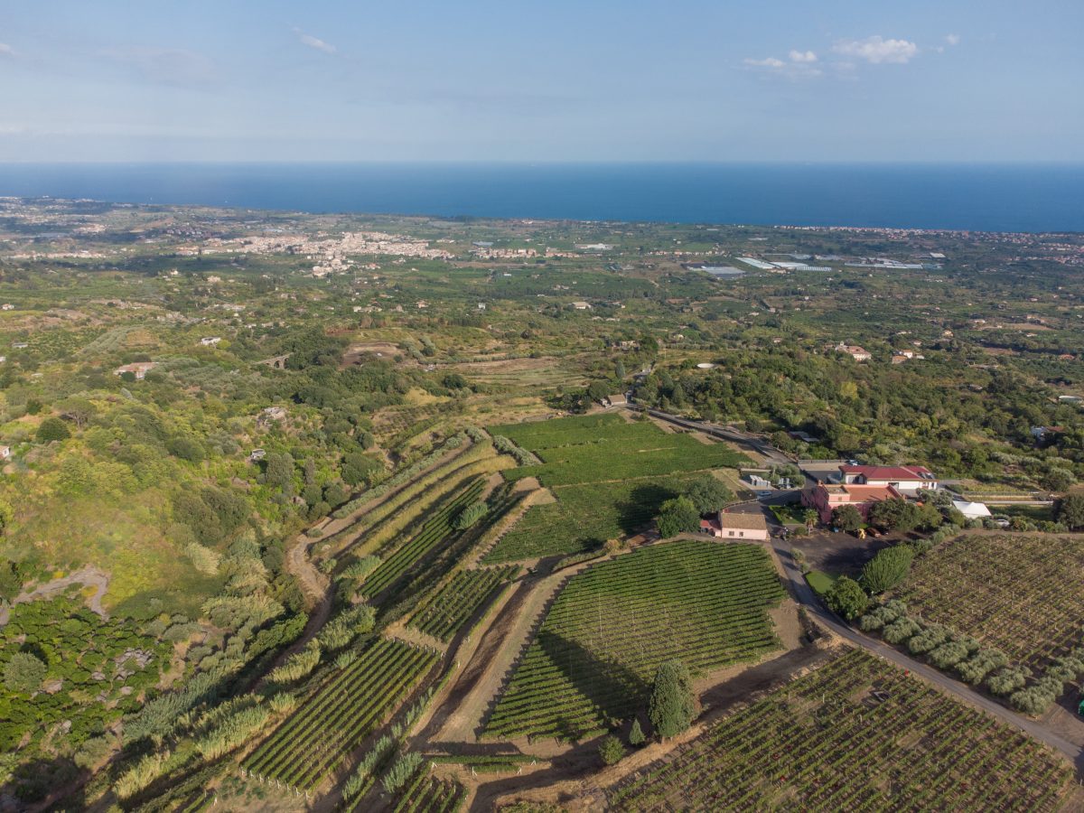 Cantine La Contea Forbes Italia