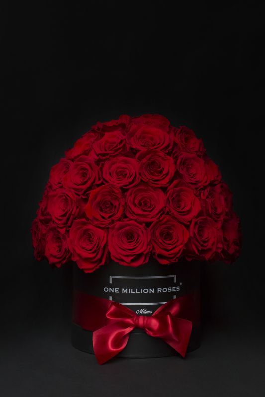 One Million Roses